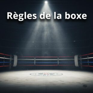Règles de la boxe anglaise : le guide complet pour tout comprendre avant de monter sur le ring