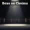 Top 8 des Meilleurs Films de Boxe (Avis d’un Ancien Pro)