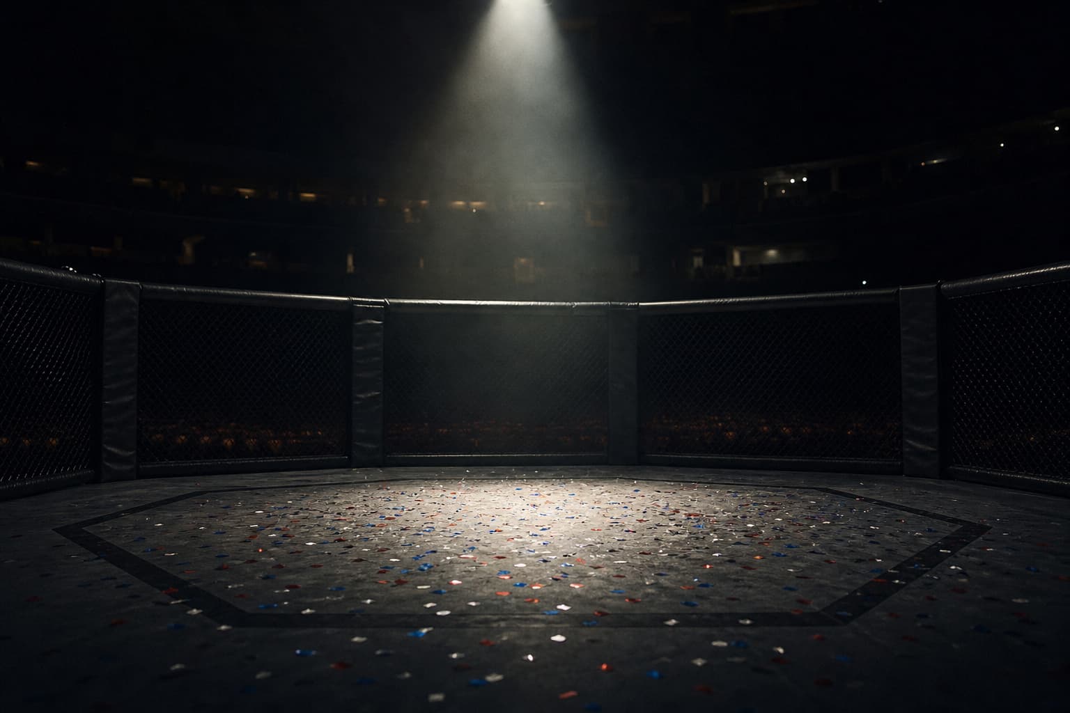 Un octogone de MMA vide parsemé de confettis sur le sol sombre, sous un unique projecteur dramatique.